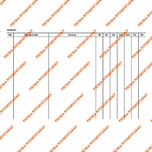 Decursus lap 203x140 mm 1 Decursus lap 203x140 mm