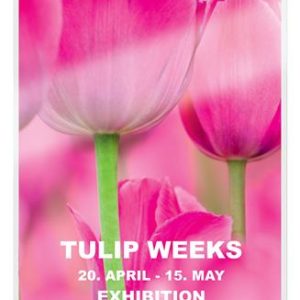 Meleglamináló fóliák