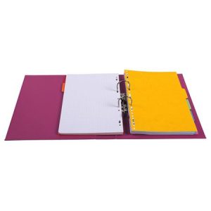 Iratrendezők, PP külső, PP belső, 70-80 mm gerinc