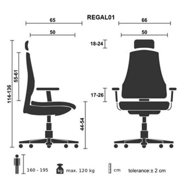 Forgoszek vezetoi Bluering Regal szurke i577415