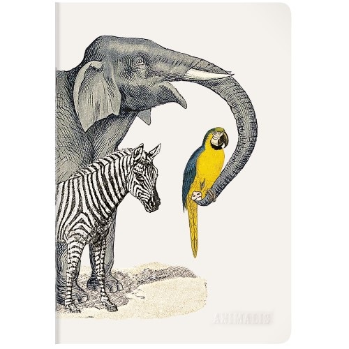 Füzet Clairefontaine Deyrolle Animalis A/4 48 lapos, vonalas, margós, puha fedeles, vegyes 2 Füzet Clairefontaine Deyrolle Animalis A/4 48 lapos, vonalas, margós, puha fedeles, vegyes - Image 2