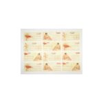 Füzetcímke  ZÁTONYI 12db-os többszínű 20 ív/csomag - Image 3