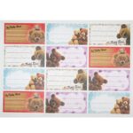 Füzetcímke  ZÁTONYI 12db-os többszínű 20 ív/csomag - Image 7