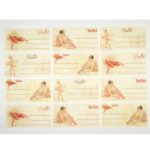 Füzetcímke  ZÁTONYI 12db-os többszínű 20 ív/csomag - Image 8