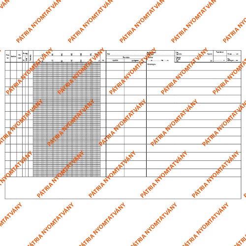 Gyermek lázlap A/3 fekvő 1 Gyermek lázlap A/3 fekvő