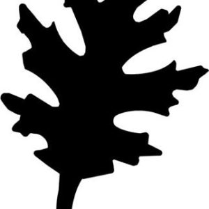 Mintalyukasztó, 25 mm, levél