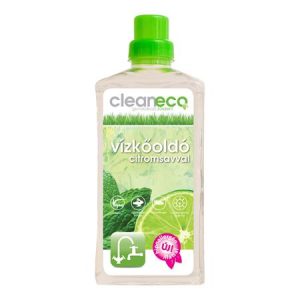 CLEANECO