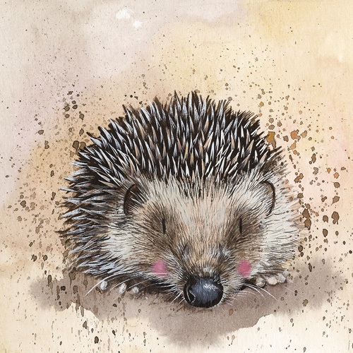 Képeslap Alex Clark borítékkal, 14x14 cm, süni 1 Képeslap Alex Clark borítékkal, 14x14 cm, süni