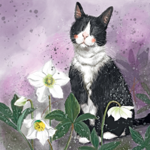 Képeslap Alex Clark borítékkal, 14x14 cm, cica virágokkal