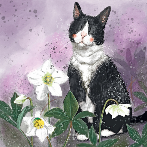 Képeslap Alex Clark borítékkal, 14x14 cm, cica virágokkal 1 Képeslap Alex Clark borítékkal, 14x14 cm, cica virágokkal