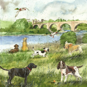 Képeslap Alex Clark borítékkal, 14x14 cm, folyópart kutyákkal