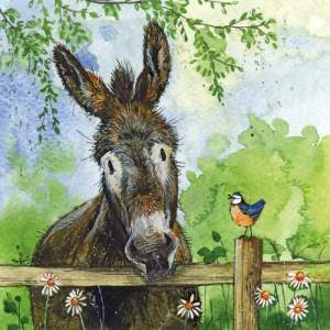 Képeslap Alex Clark borítékkal, 14x14 cm, szamár