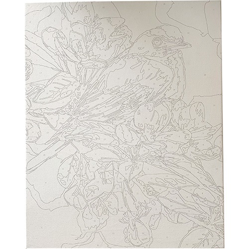 Kreatív kifestő klt. Centrum számozott, 40x50 cm, Színes madár 1 Kreatív kifestő klt. Centrum számozott, 40x50 cm, Színes madár