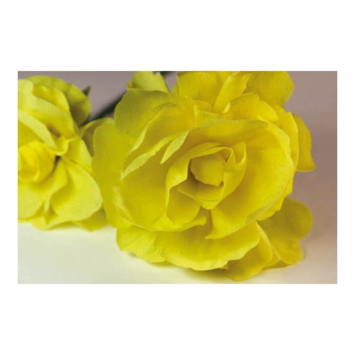 Krepp-papír 200x50 cm citromsárga 1 Krepp-papír 200x50 cm citromsárga