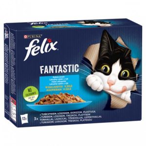 FELIX
