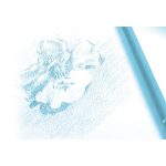 Művészeti rajztömb Clairefontaine A/4 30 lap 180g spirálos fehér szemcsés - Image 2