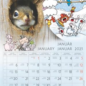 Naptár, fali, CSG "Én és a barátaim"