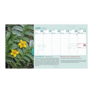 Naptár, asztali, álló, TOPTIMER, "Gyógyító természet"