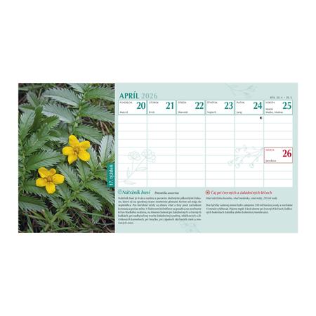 Naptár, asztali, álló, TOPTIMER, "Gyógyító természet" 2 Naptár, asztali, álló, TOPTIMER, "Gyógyító természet"