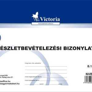 Nyomtatvány, készletbevételezési bizonylat, 25x4, A5, VICTORIA PAPER "B.12-111", 10 tömb/csomag