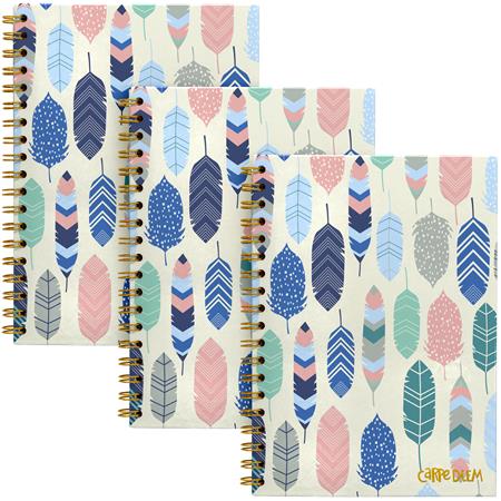 Spirálfüzet, B5, vonalas, 80 lap, FSC, PUKKA PAD "Carpe Diem", toll minta 1 PUKKA PAD