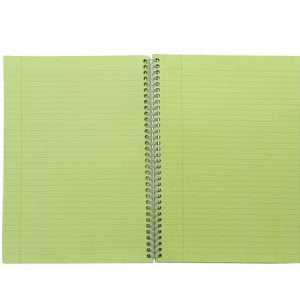 Spirálfüzet, A5, vonalas, 100 lap, PUKKA PAD "Irlen Jotta Green"