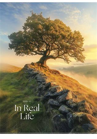 Füzet, tűzött, A4, kockás, 40 lap, SHKOLYARYK "In Real Life", vegyes 1 SHKOLYARYK