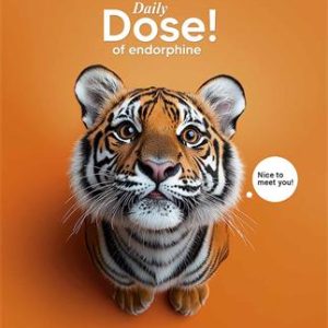 Füzet, tűzött, A5, kockás, 48 lap, SHKOLYARYK "Nice to meet you", vegyes