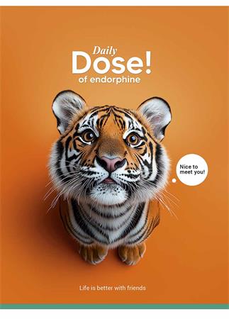 Füzet, tűzött, A5, kockás, 48 lap, SHKOLYARYK "Nice to meet you", vegyes 2 Füzet, tűzött, A5, kockás, 48 lap, SHKOLYARYK "Nice to meet you", vegyes