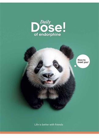 Füzet, tűzött, A5, kockás, 48 lap, SHKOLYARYK "Nice to meet you", vegyes 3 Kötött és tűzött füzetek A5