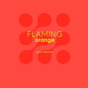 Füzet, tűzött, A5, kockás, 60 lap, SHKOLYARYK "Neon", vegyes