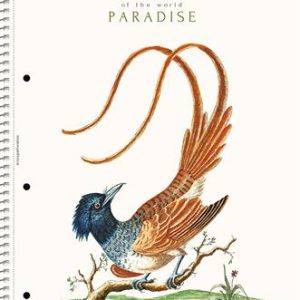 Spirálfüzet, A4, vonalas, 80 lap, SHOLYARYK "College Block Wonders", vegyes