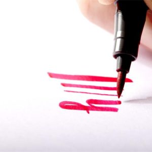 Ecsetirón készlet, STAEDTLER "Pigment brush 371", 12 különböző alapszín