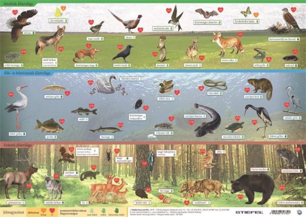 Könyökalátét, kétoldalas, A3, STIEFEL "Magyarország vadon élő állatai / Magyarország állatvilága"