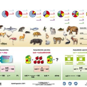 Tanulói munkalap, A4,  STIEFEL "Százalékszámítás duo"